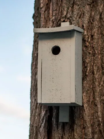 DIY fuglekassen